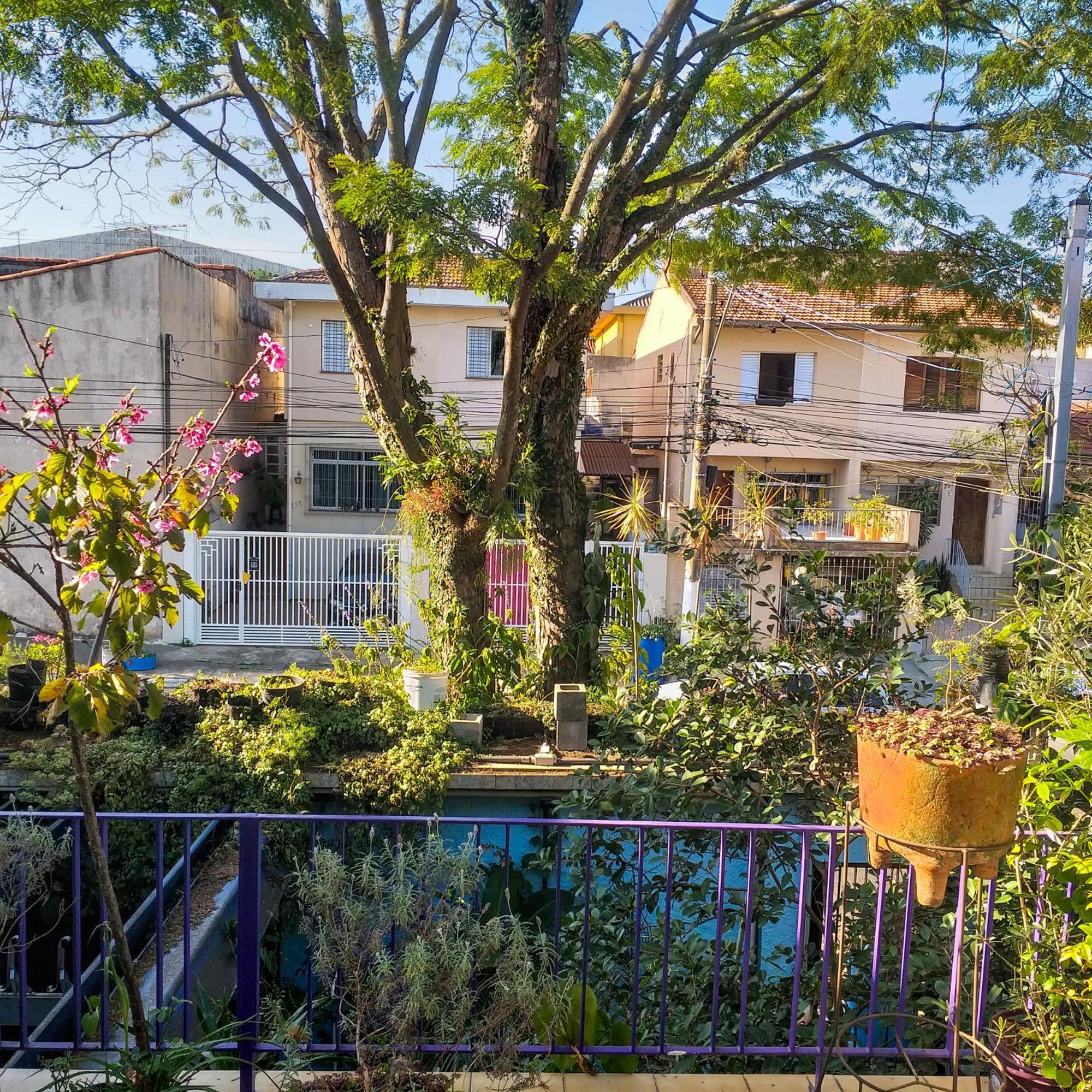 Micasa Hostel - Congonhas เซาเปาโล ภายนอก รูปภาพ
